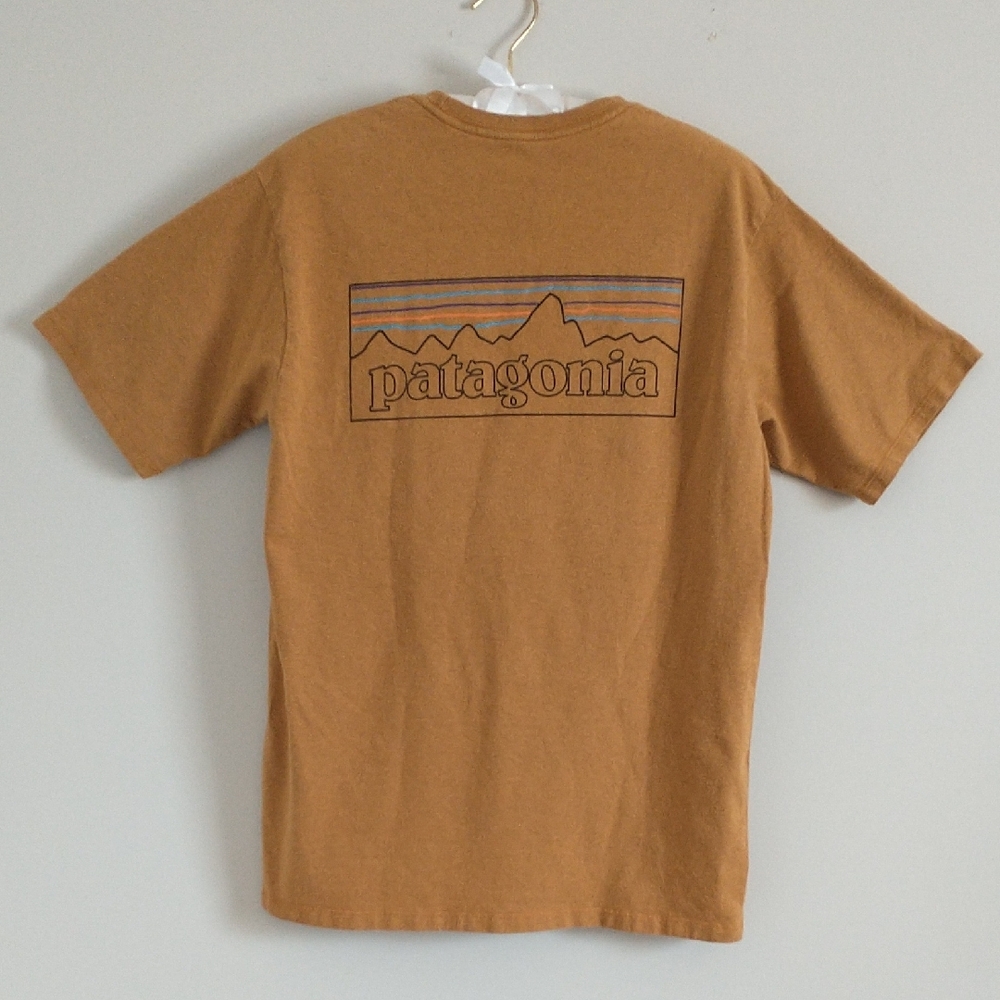 Patagonia Men's Tan Short Sleeve Tee. Size/S